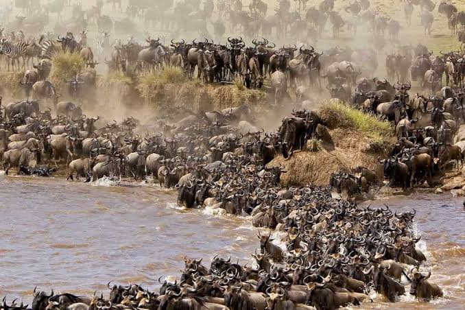 Serengeti National Park